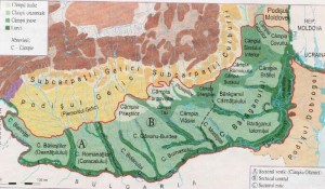 Harta-fizico-geografica-a-Campiei-Romane
