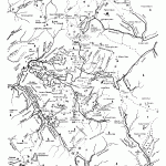 Harta Muntilor Bihor - Zona Padis 2 (Carpatii Occidentali)