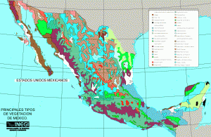 Repartitia principalelor asociatii forestiere in Mexic