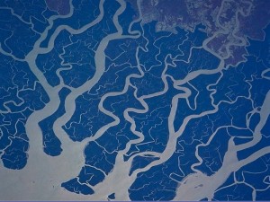 Cea mai mare delta din lume