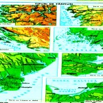 Tipuri de tarmuri din Europa Tipuri de tarmuri 2 150x150 Tipuri de tarmuri din Europa