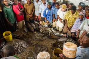 Piata de peste Zanzibar