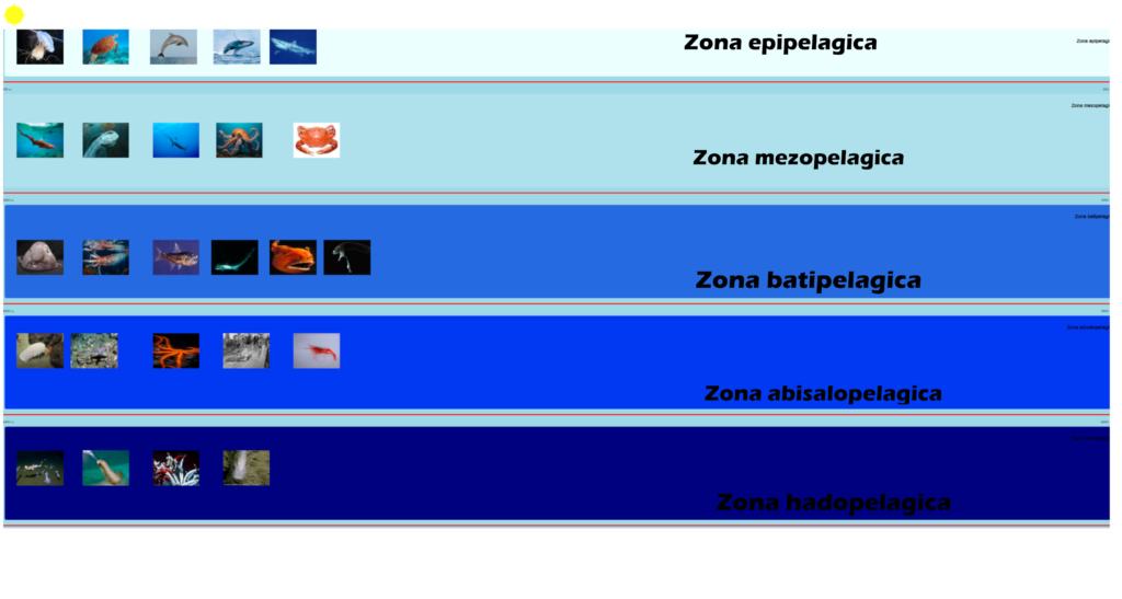        Joc geografie Joc geografie Straturile Oceanelor
