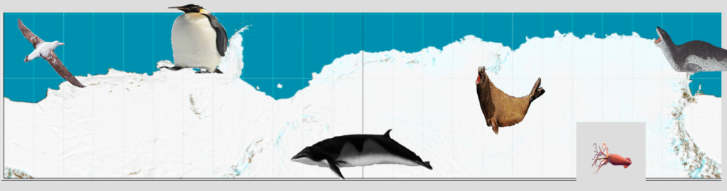        Joc geografie Animale de la Polul Sud
