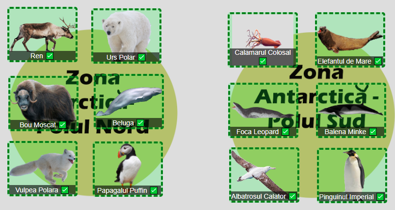        Joc geografie Animale de la Polul Nord si Sud
