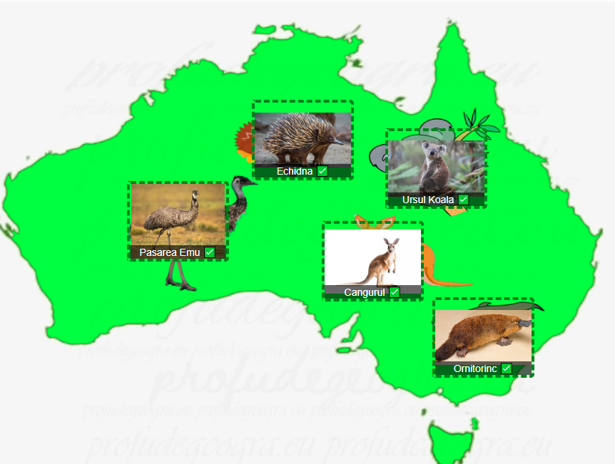        Joc geografie Animale Australia
