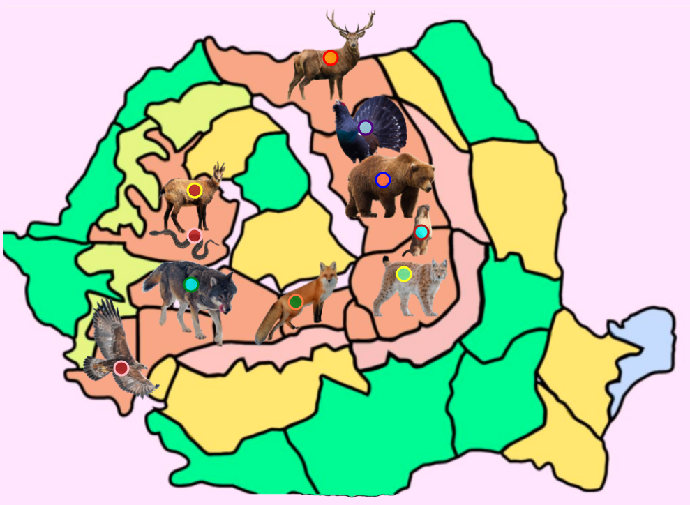        Joc geografie Animalele din Carpati
