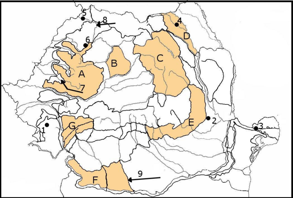 Test geografie Bac Romania cu harta oarba a Romaniei